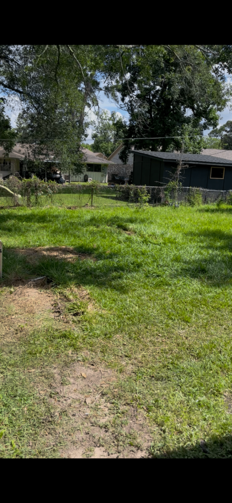 Houston backyard cleanup by Holman Hauling — after